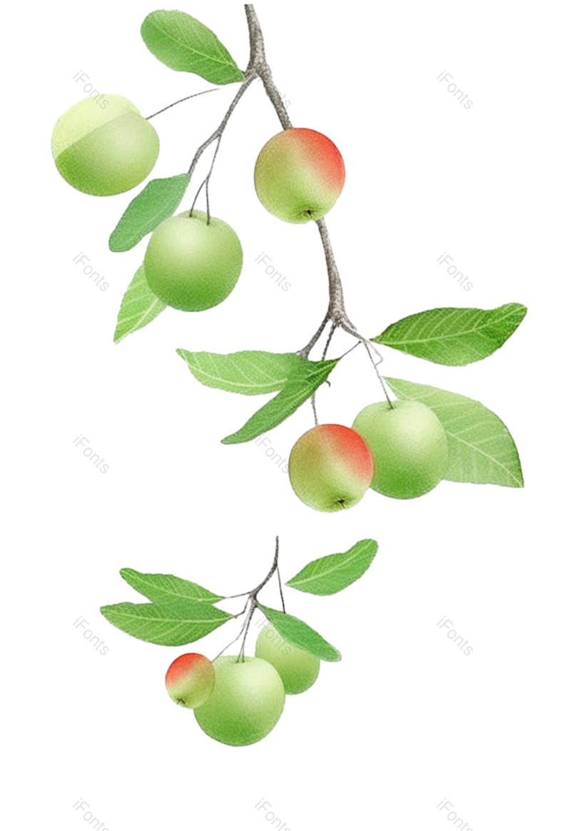 叶子图片,芒种元素,树叶PNG,绿色免抠素材